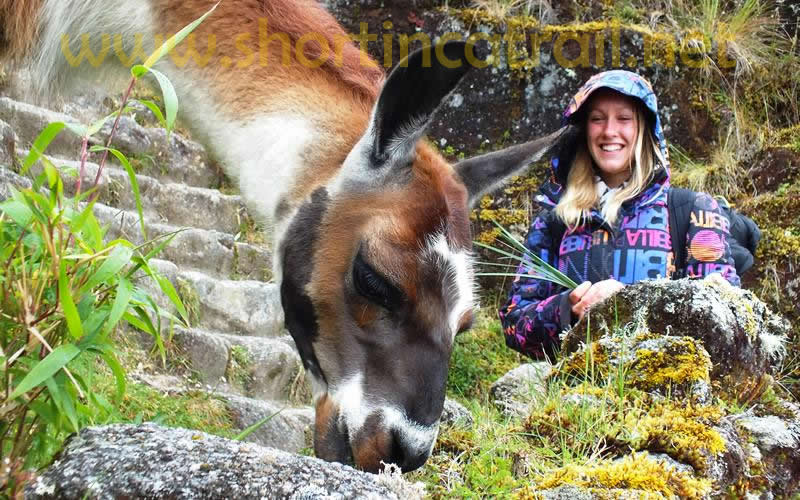 Plan Ahead the Inca Trail