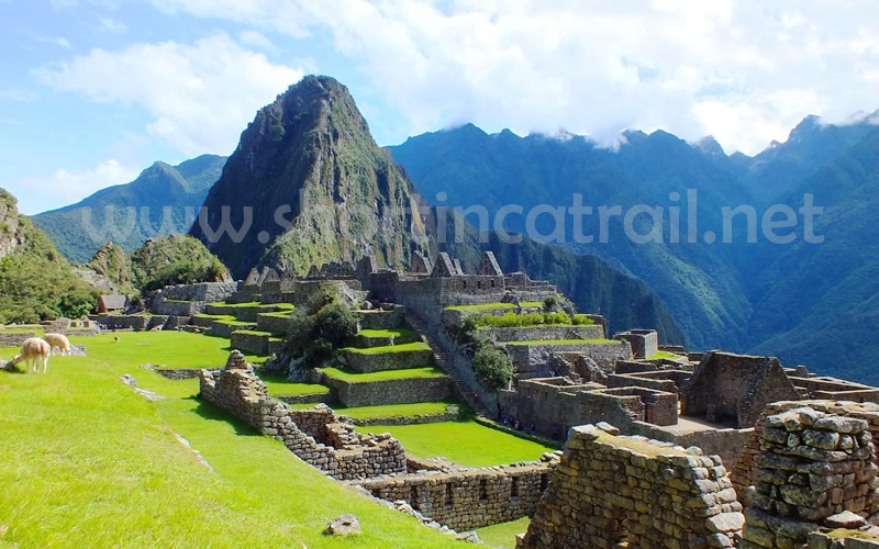 The Best of Machu Picchu